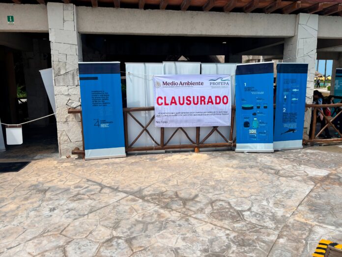 Profepa clausura 'Dolphinaris Barceló' por maltrato a delfín