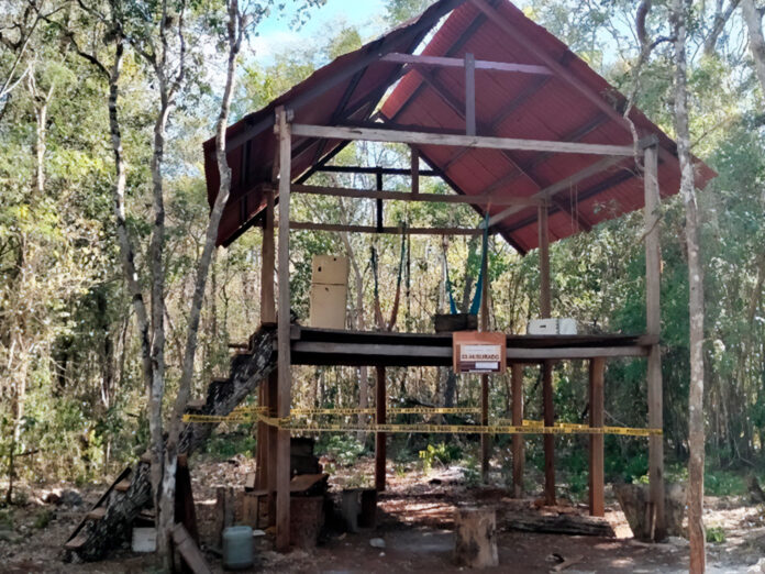 Profepa clausura obras ilegales en área protegida de Tekax