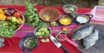 Realizan el concurso gastronómico “Del Río a tu Mesa”, Celebrando a la mojarra, en Tabasco