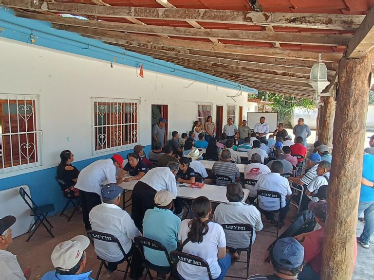 Se realiza el Primer Encuentro por la Miel de Quintana Roo