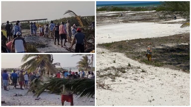 Terrenos ganados al mar en Sisal, Yucatán, son propiedad de la nación: Semarnat