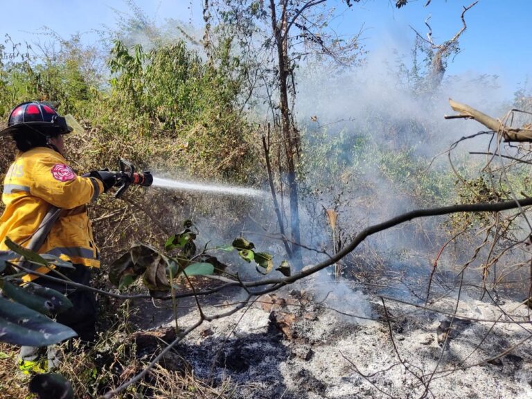 Incendios en CTM y Lilis fueron totalmente controlados