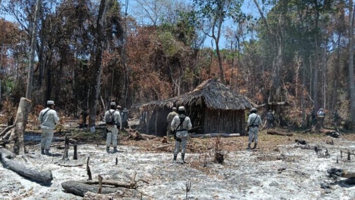 Desmantelan asentamientos ilegales en Reserva de la Biosfera de Balam Kú, en Calakmul
