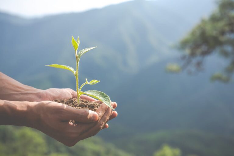 ¡No existe otro planeta! Cuidar del medio ambiente es un compromiso diario