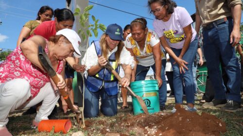Anuncian la Cruzada Forestal 2025 en Mérida