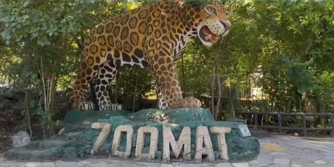 Anuncian los Martes del Pueblo en el ZooMAT