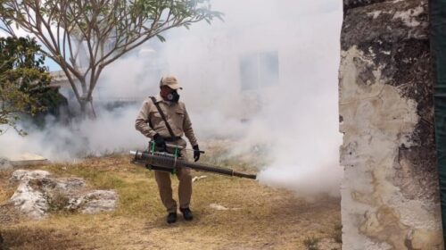 Campeche redobla las medidas preventivas contra el dengue