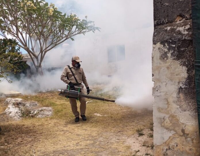 Campeche redobla las medidas preventivas contra el dengue