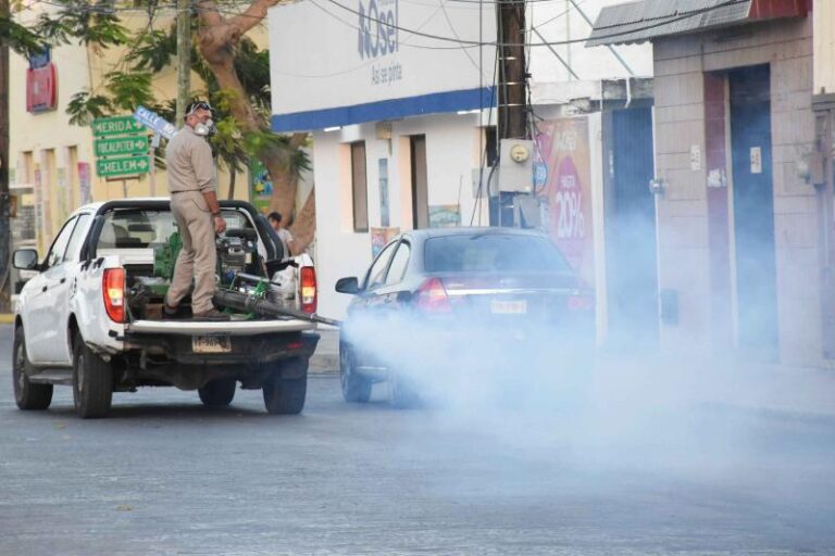 Concluye la campaña “Mi hogar sin criaderos de moscos” en Yucatán