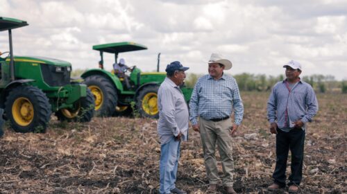 Díaz Mena, campo yucateco, Seder , trabajos de mecanización
