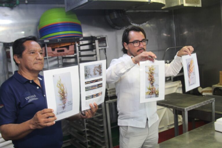 Concluye expedición del Buque “Dr. Jorge Carranza Fraser” que investiga el sargazo