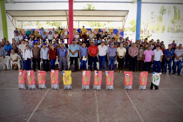 Entregan semilla de maíz en Carmen, Campeche