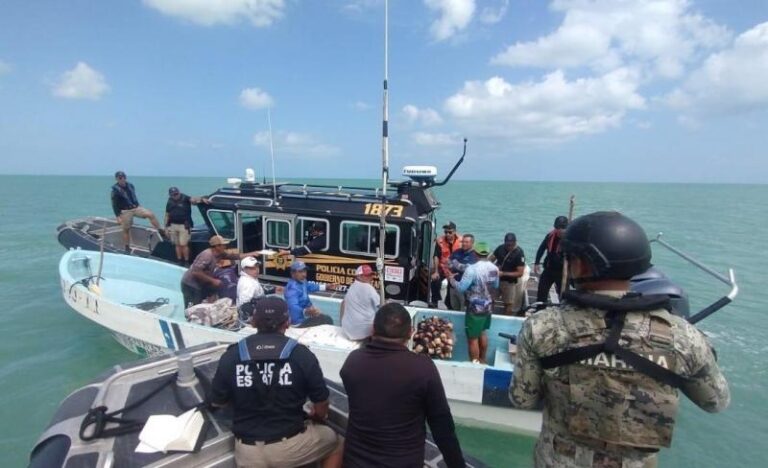 Frenan pesca furtiva en Celestún