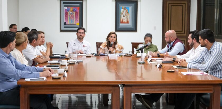 Mesa de Estrategia de Sargazo 2025