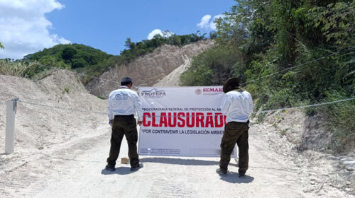 Profepa clausura 3 predios por extracción de material pétreo y remoción de vegetación en Chiapas