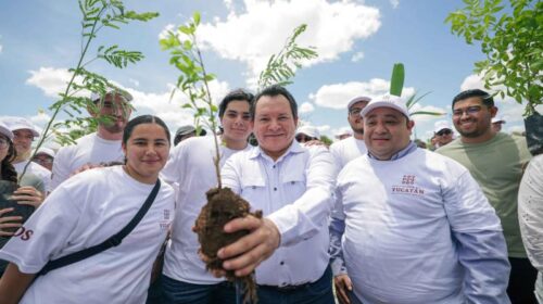 Renacimiento Verde en Yucatán