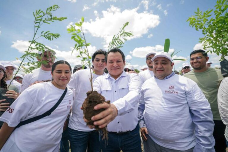 “Renacimiento Verde”: Yucatán contará con más de 1.2 millones de árboles en los próximos años