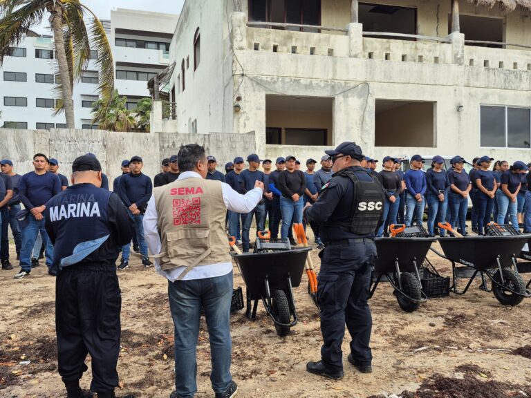 Quintana Roo activa limpieza simultánea de sargazo en 7 municipios