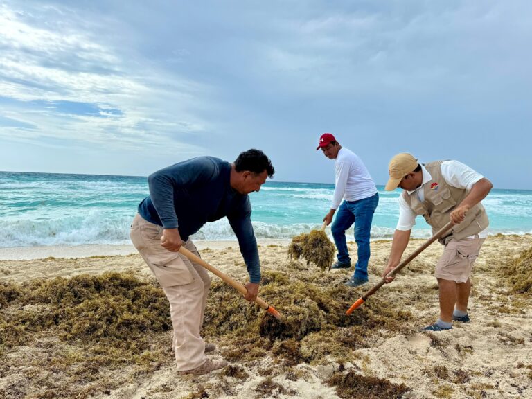 Cancún refuerza limpieza de 11 playas con más 400 trabajadores