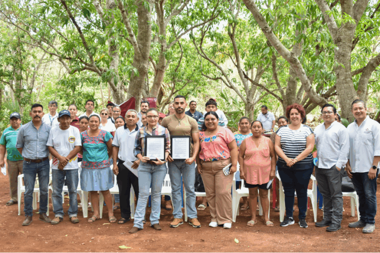 Impulsan el cultivo de palma de jipi en Calkiní con inversión de 225 mil pesos