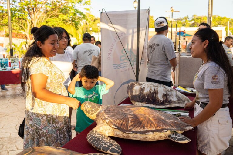 Triunfa la “Feria de la Tortuga Marina 2025”