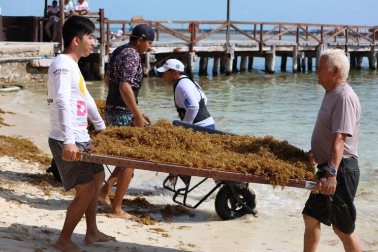 Gobierno de Isla Mujeres reconoce el labor de Zofemat en limpieza de playas