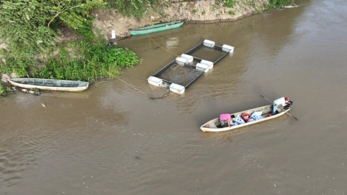 Apoyan a pescadores de Emiliano Zapata, Tabasco, con ‘Pescando Vida‘