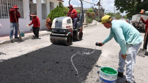 Bacheo