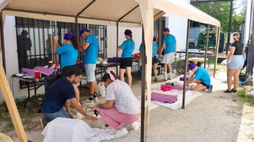 campaña de esterilización de perros y gatos