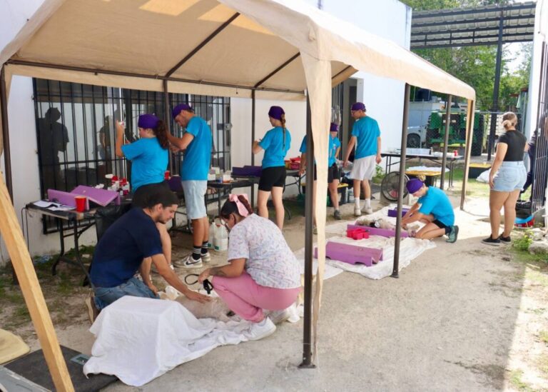 Puerto Morelos avanza con campaña de esterilización de perros y gatos