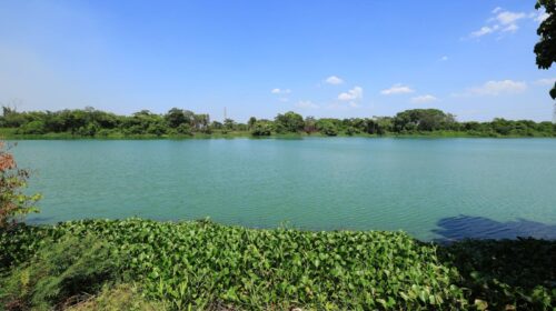 Convocan a rescatar la Laguna del Camarón, en Tabasco
