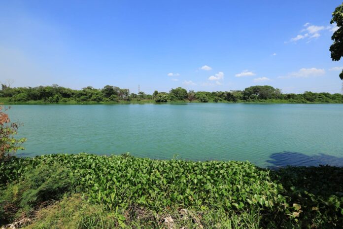 Convocan a rescatar la Laguna del Camarón, en Tabasco