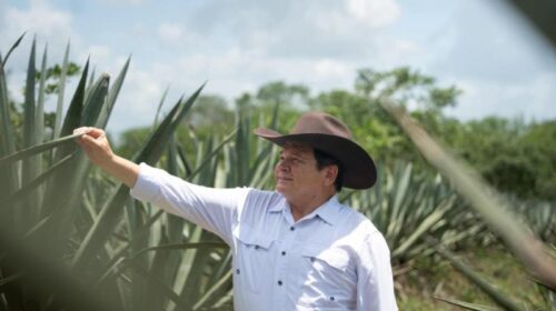 Destinan más de 3.8 mdp para el rescate de la actividad henequenera en Yucatán