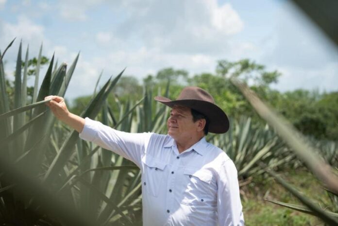 Destinan más de 3.8 mdp para el rescate de la actividad henequenera en Yucatán