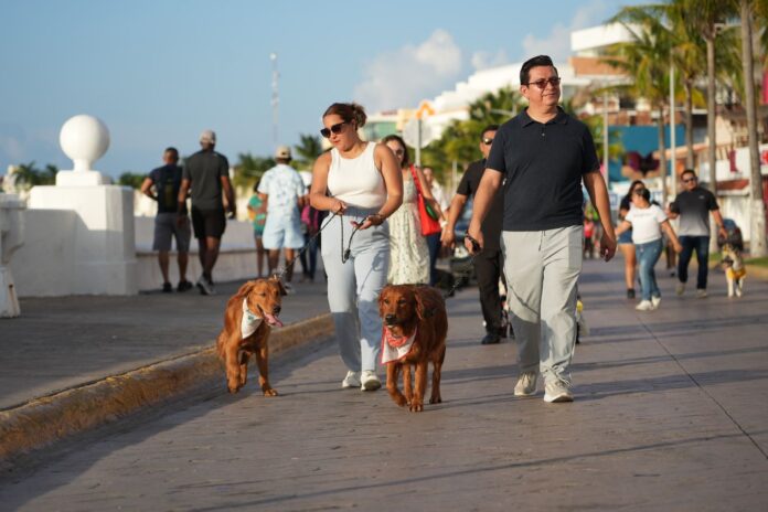 Día Mundial del Perro