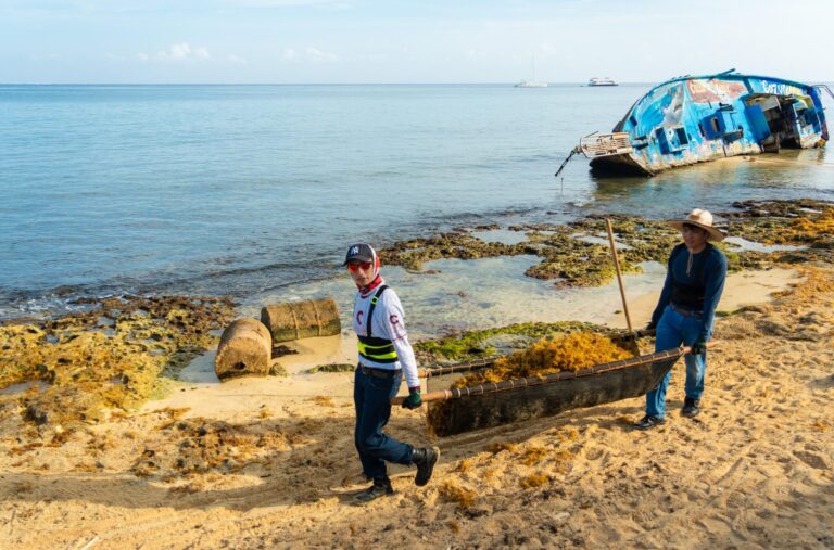 Cozumel retira 20 toneladas de sargazo del malecón