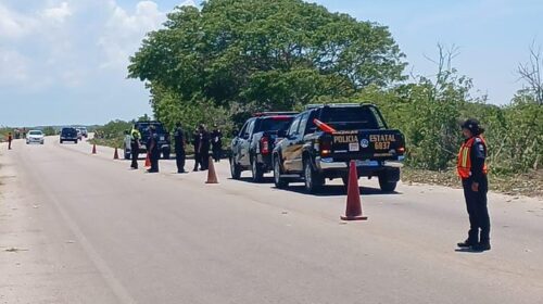 Localizan tres cráneos humanos en la carretera Telchac Puerto–Progreso
