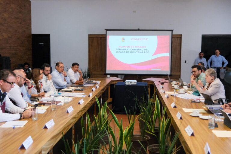 Anuncian Parque de Economía Circular del Sargazo en Quintana Roo