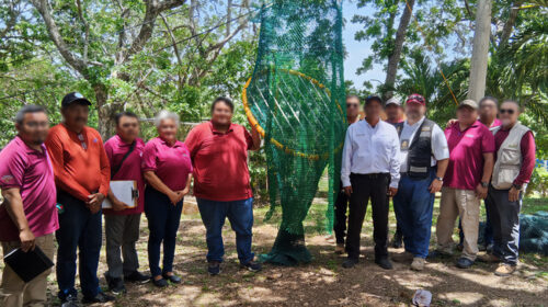 Profepa capacita a pescadores en Campeche para evitar la muerte de tortugas marinas