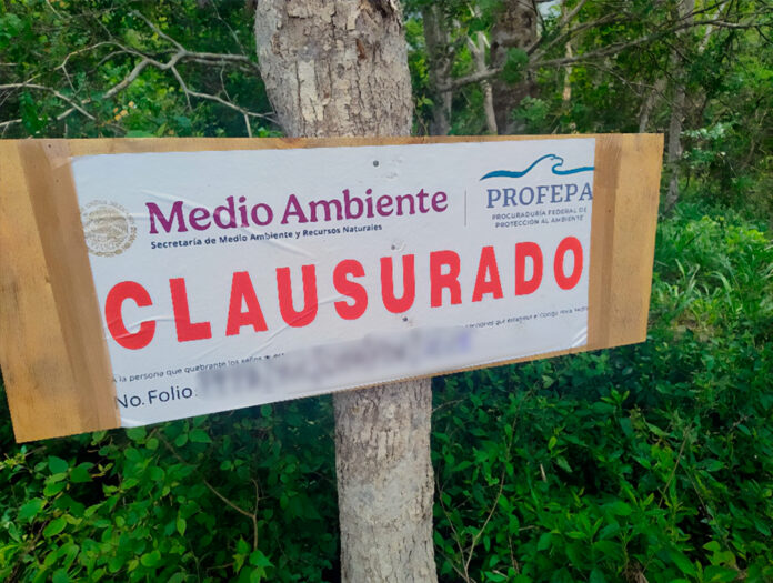 Profepa clausura predio en Tekax por cambio ilegal de uso de suelo