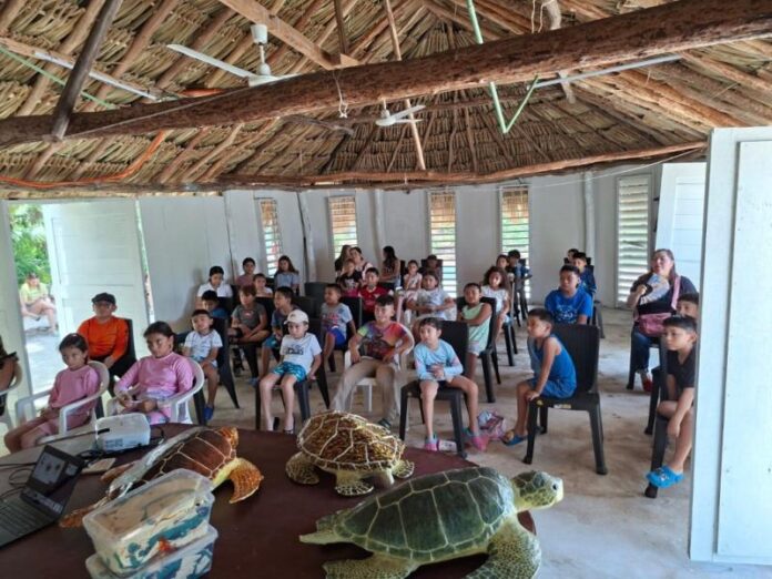 Promueven cuidado de tortugas marinas entre las infancias yucatecas
