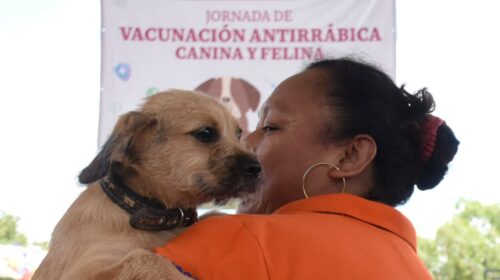 Realizan Jornada de Esterilización y Vacunación Antirrábica en Hoctún, Yucatán
