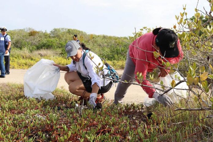 Recolectan casi 2 toneladas de basura en Chuburná Puerto, Yucatán