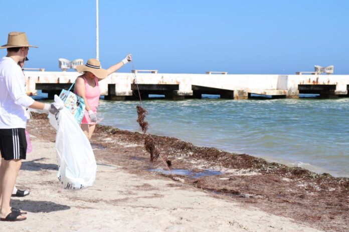 Recolectan más de 200 kg de desechos en jornada de limpieza en Telchac Puerto