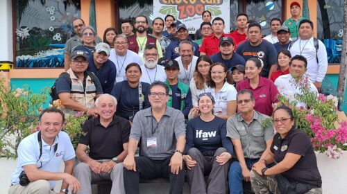 Rescate de Fauna Silvestre
