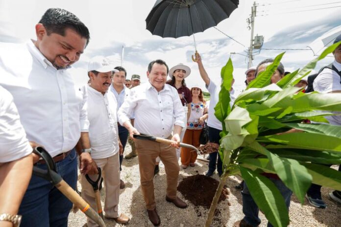 Siembran más de 5 mil árboles en Valladolid