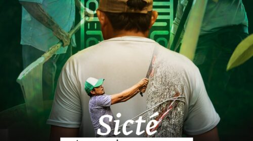 Sicté, La Resina Maya