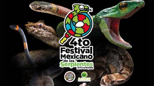 Yumka’, sede del 4° Festival Mexicano de las Serpientes