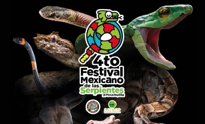 Yumka’, sede del 4° Festival Mexicano de las Serpientes