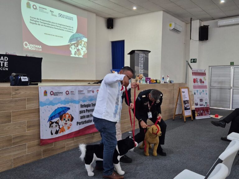 Refuerza Quintana Roo red de refugios para mascotas durante temporada de huracanes